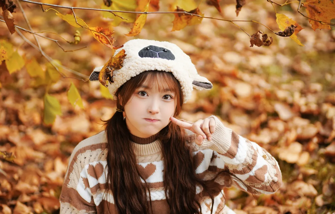 Фото обои woman, beautiful, model, pretty, asian, pose, fall, sweater
