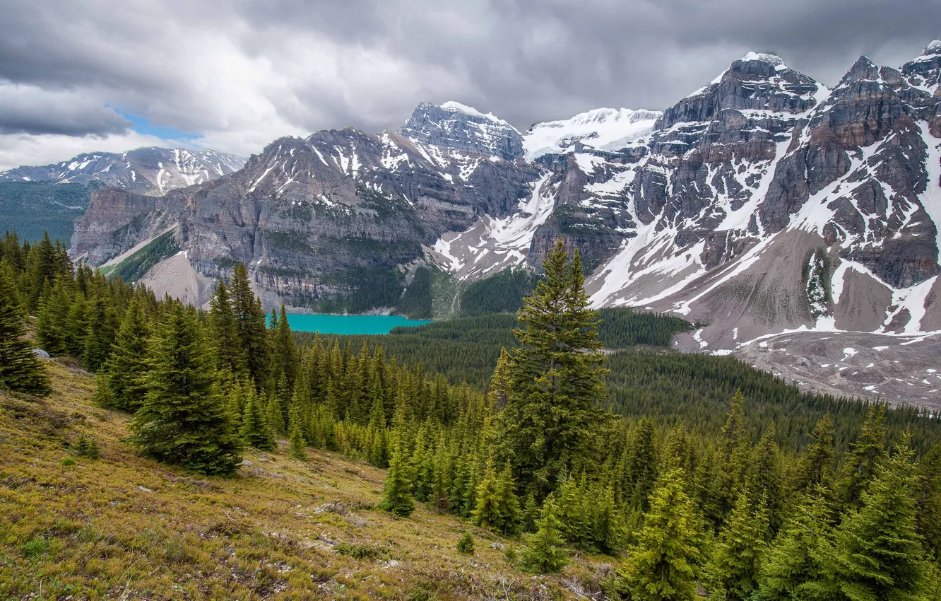 Фото обои лес, горы, Канада, Альберта, Banff National Park, Alberta, Canada, Moraine Lake