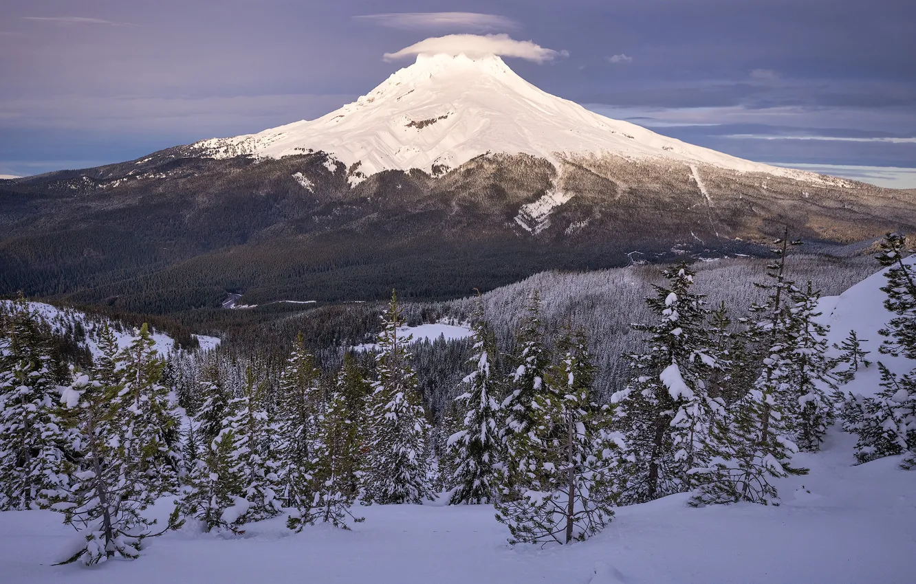 Фото обои зима, лес, облака, снег, деревья, горы, вулкан, Орегон