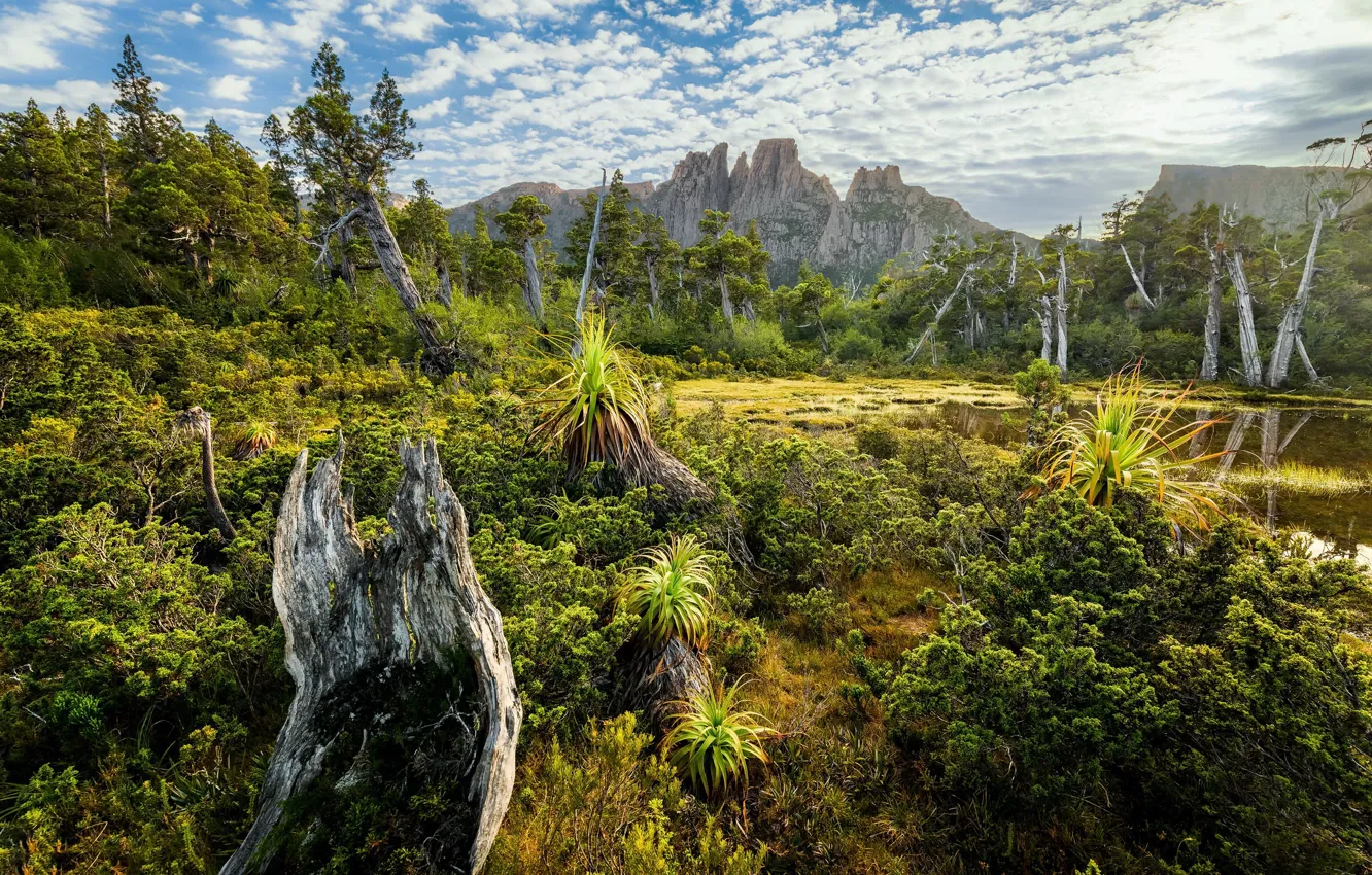 Фото обои Sunrise, Tasmania, Cradle Mountain–Lake, Mount Geryon