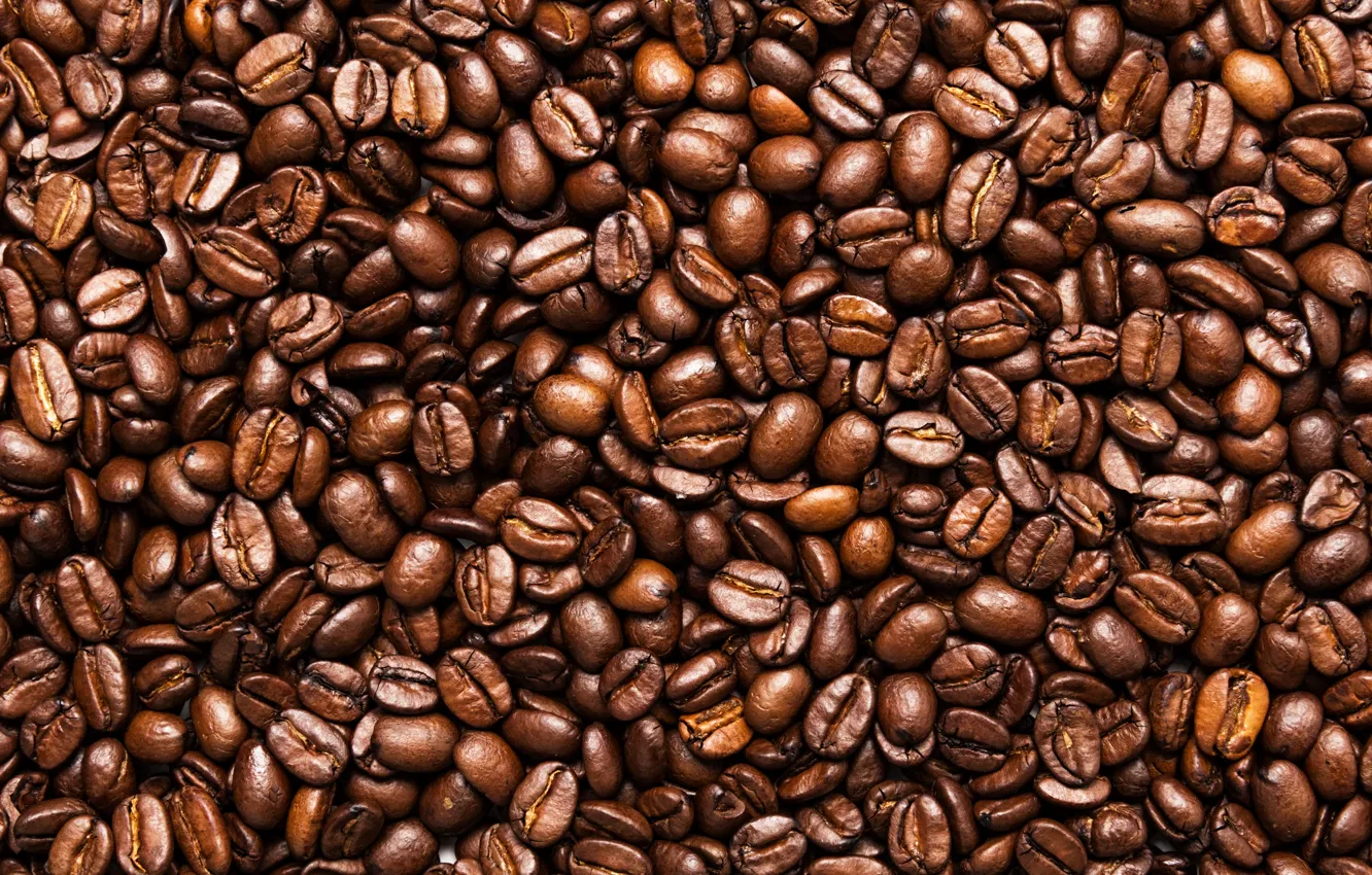 Фото обои coffee, seeds, toasted