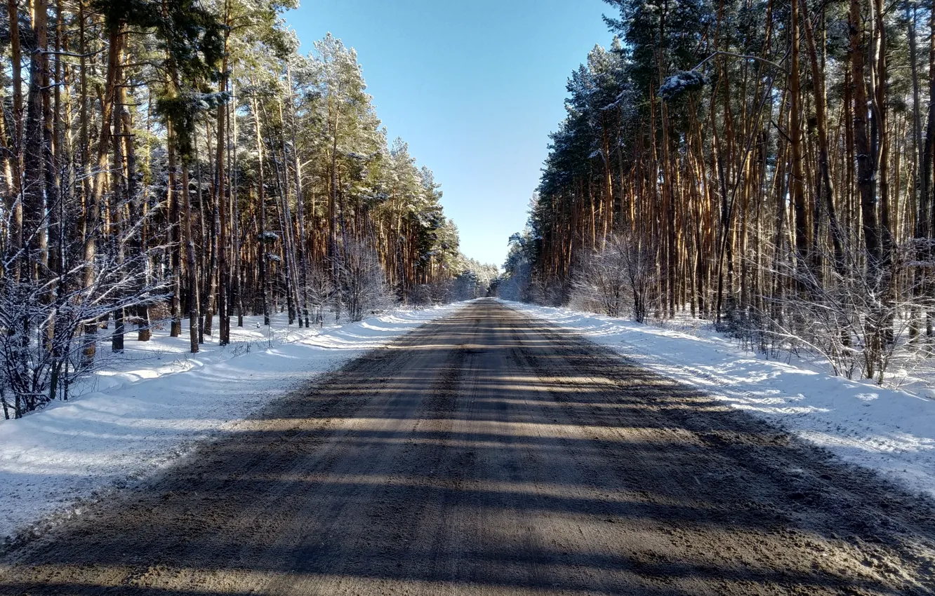 Фото обои зима, дорога, лес, снег, сосны