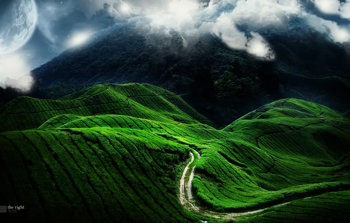 Фото обои дорога, зеленый, холмы, планета