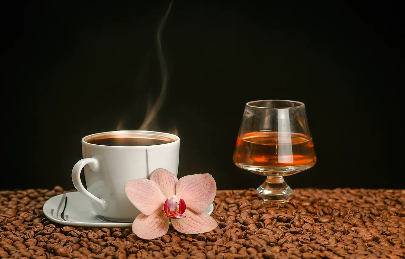 Фото обои цветок, вино, бокал, кофе, горячий, пар, чашка, напиток