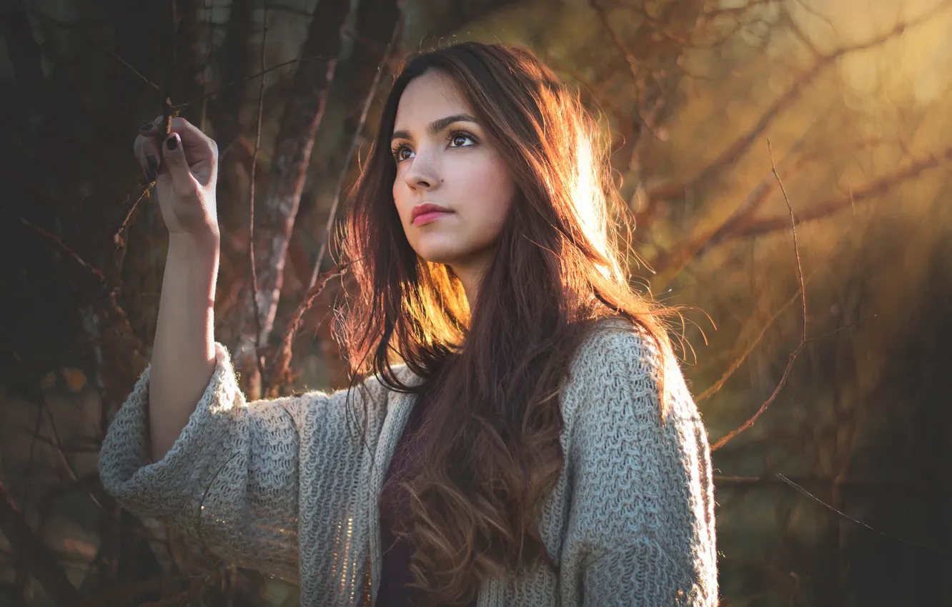 Фото обои лес, девушка, ветки, настроение, портрет, брюнетка, длинноволосая