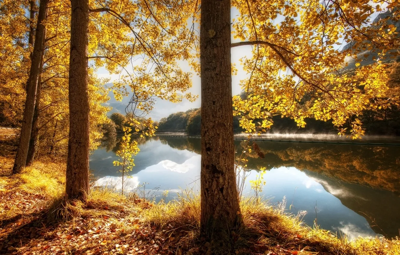 Фото обои river, trees, water, beautiful, leaves, hills, sunrise, reflection