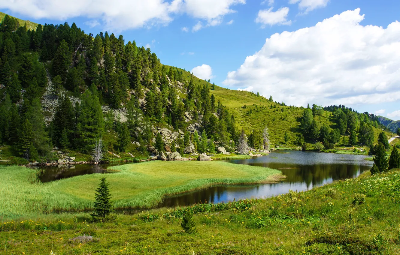 Фото обои лес, лето, природа, озеро, холмы, Австрия