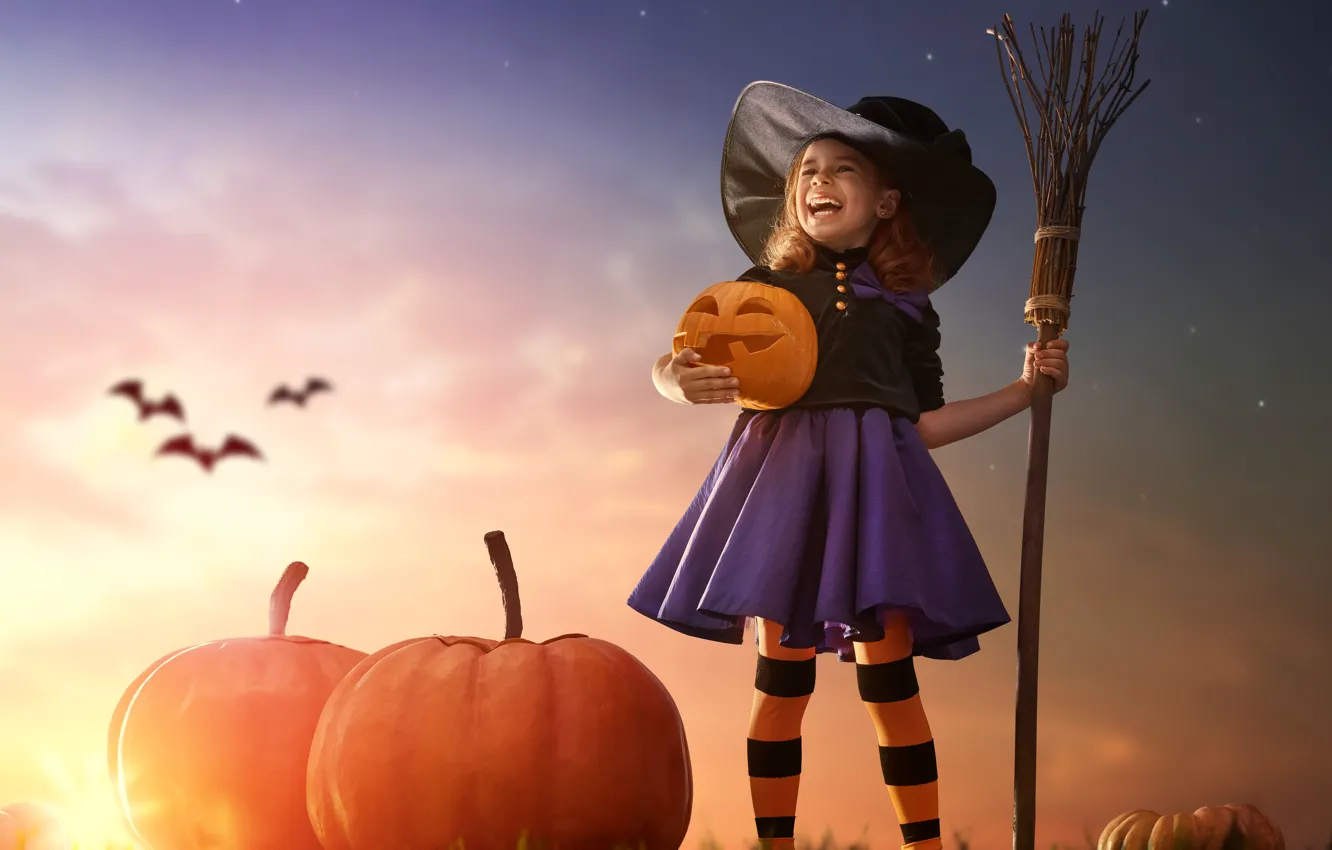 Фото обои закат, шляпа, девочка, Halloween, тыква, летучая мышь, girl, Хэллоуин
