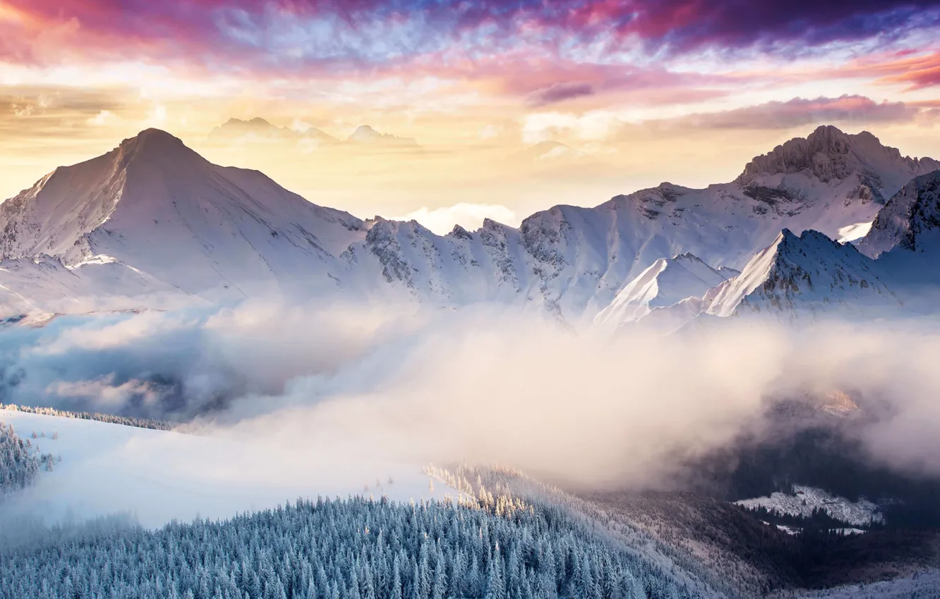 Фото обои зима, лес, небо, облака, снег, горы, природа, туман
