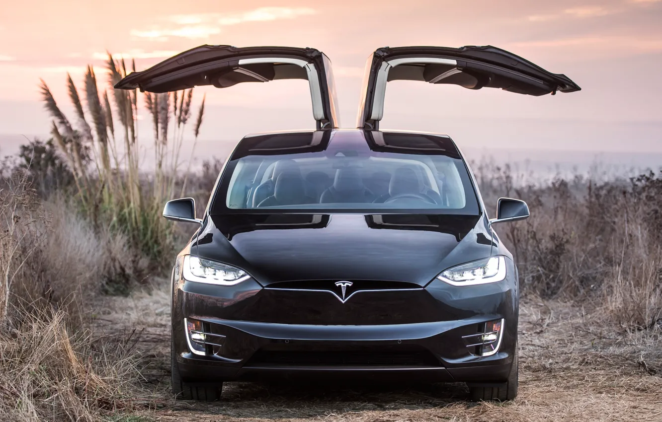 Фото обои Tesla, Model X, electic car