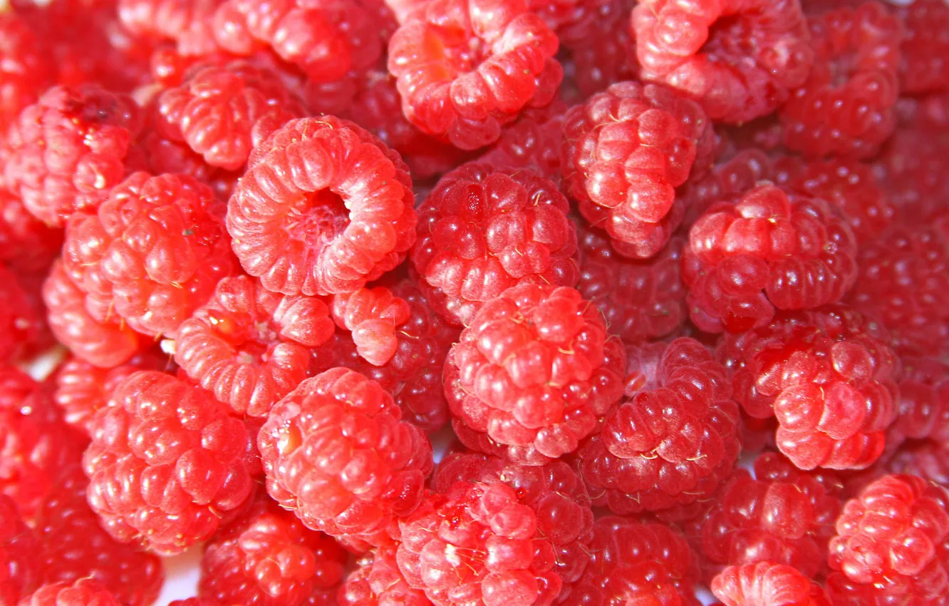 Фото обои ягоды, малина, текстура