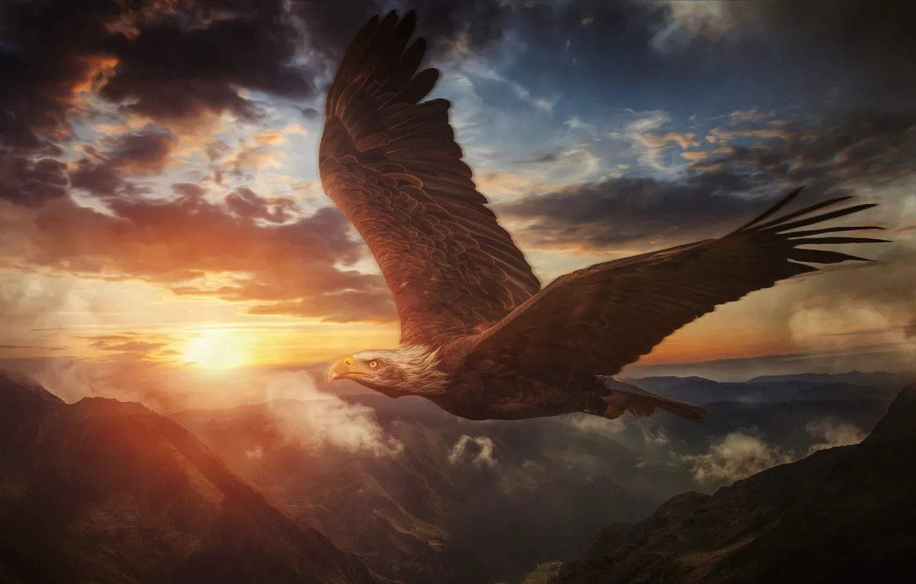 Фото обои bird, mountains, eagle, soaring