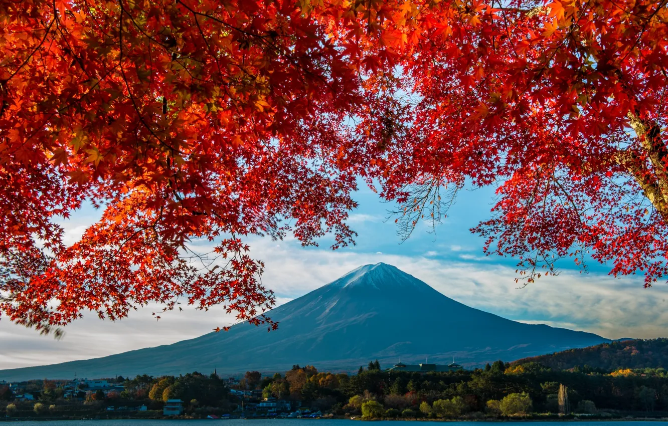Фото обои осень, гора, Япония, клен, Фудзияма