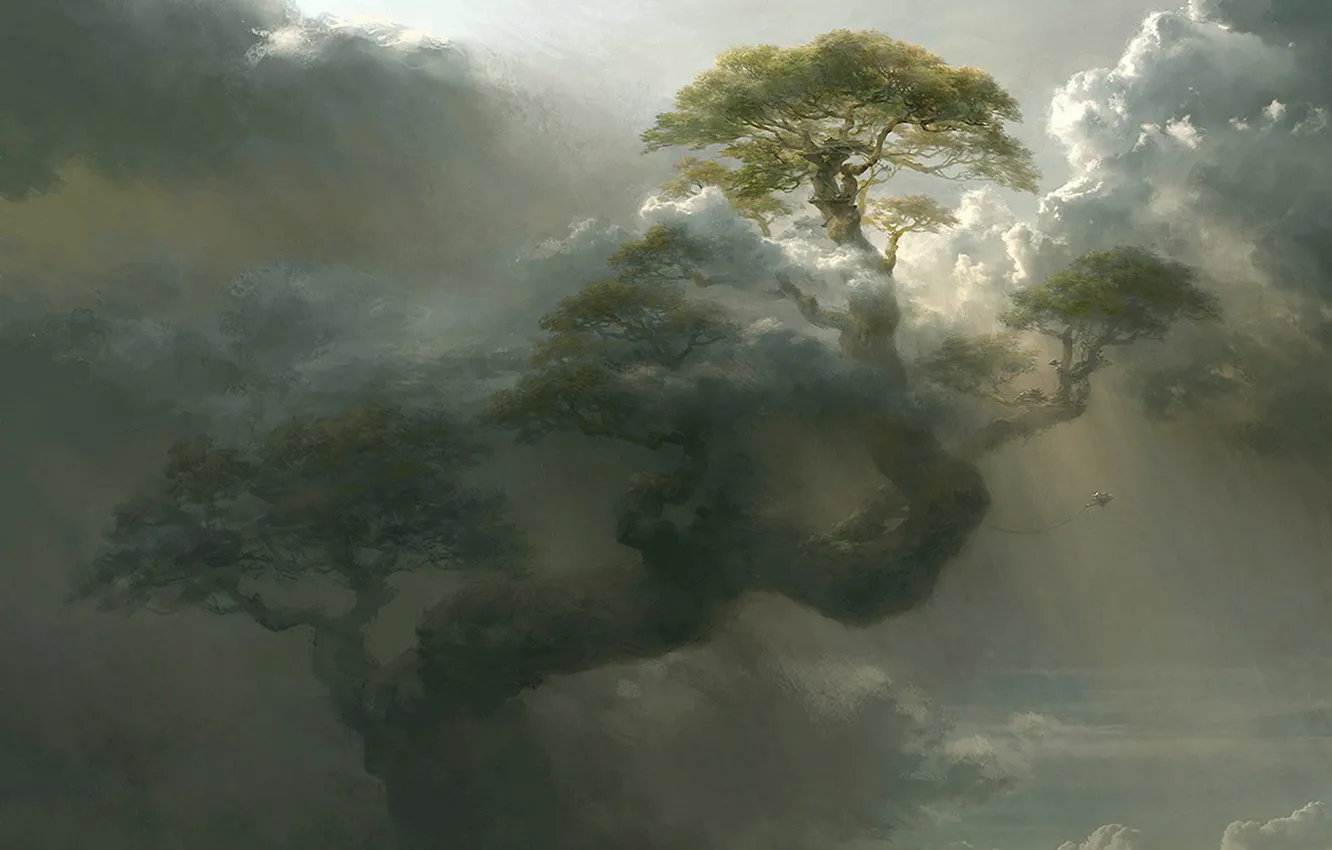 Фото обои облака, дерево, высота, арт, гигантское