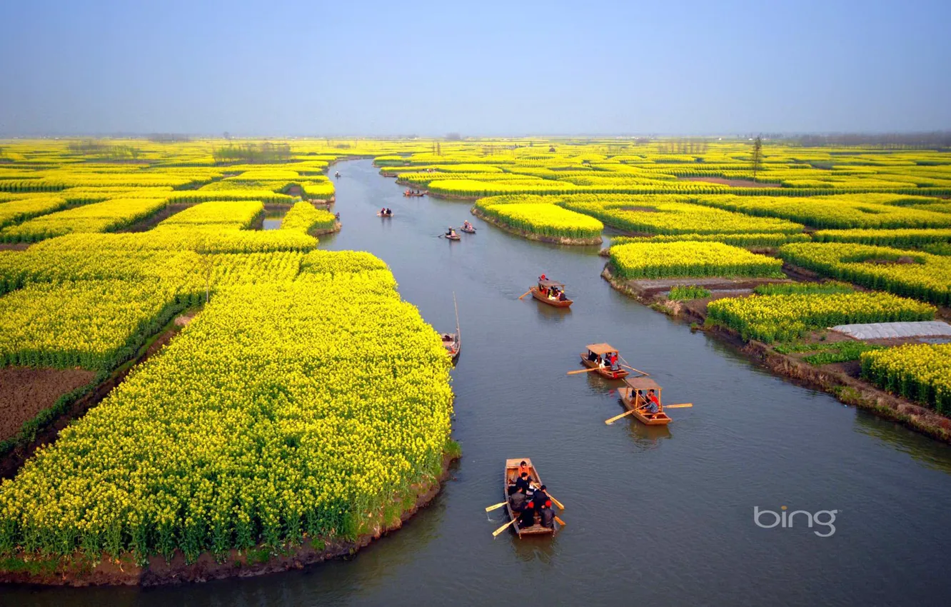 Фото обои поле, цветы, люди, лодки, горизонт, канал