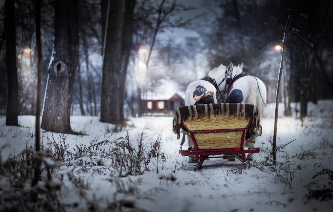 Фото обои зима, кони, мальчик, сани