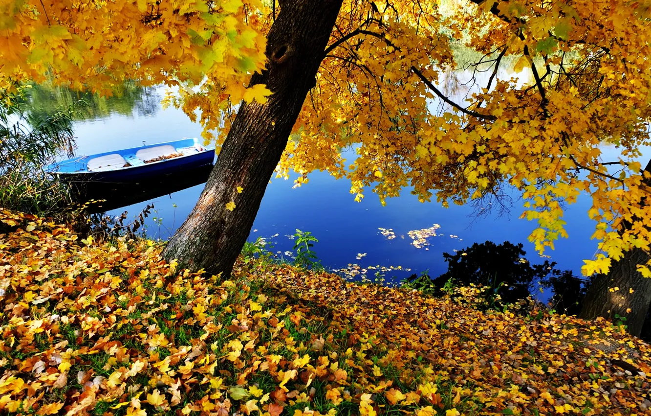 Фото обои river, blue, autumn, boat