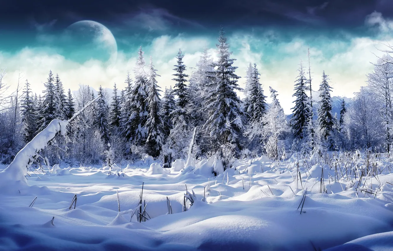 Фото обои зима, лес, облака, снег, луна