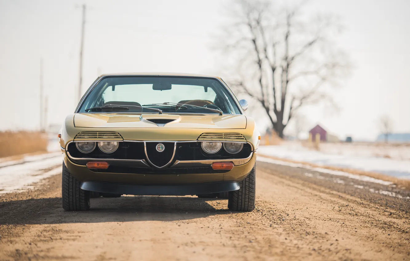 Фото обои Alfa Romeo, front, 1972, Montreal, Alfa Romeo Montreal