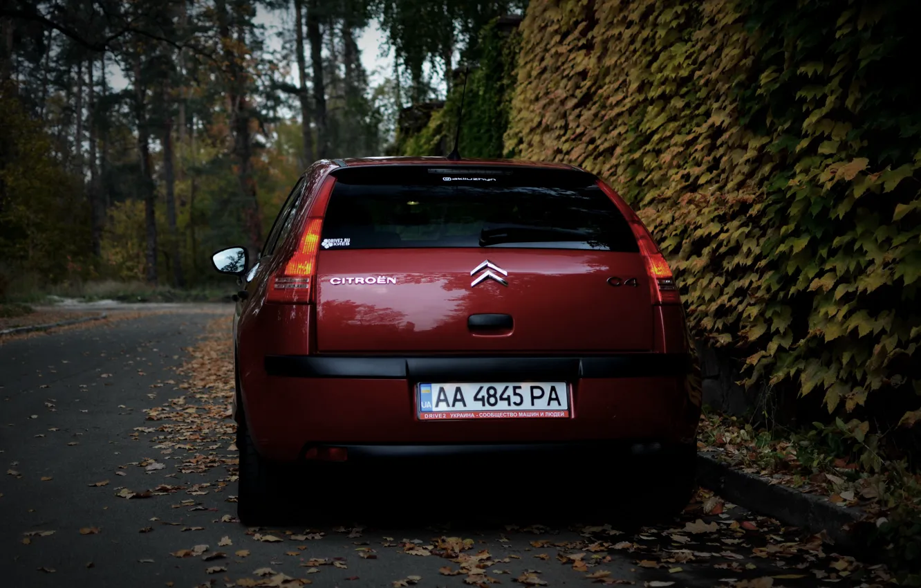 Фото обои машина, осень, листья, Ситроен, Citroen, Car, автомобиль, France