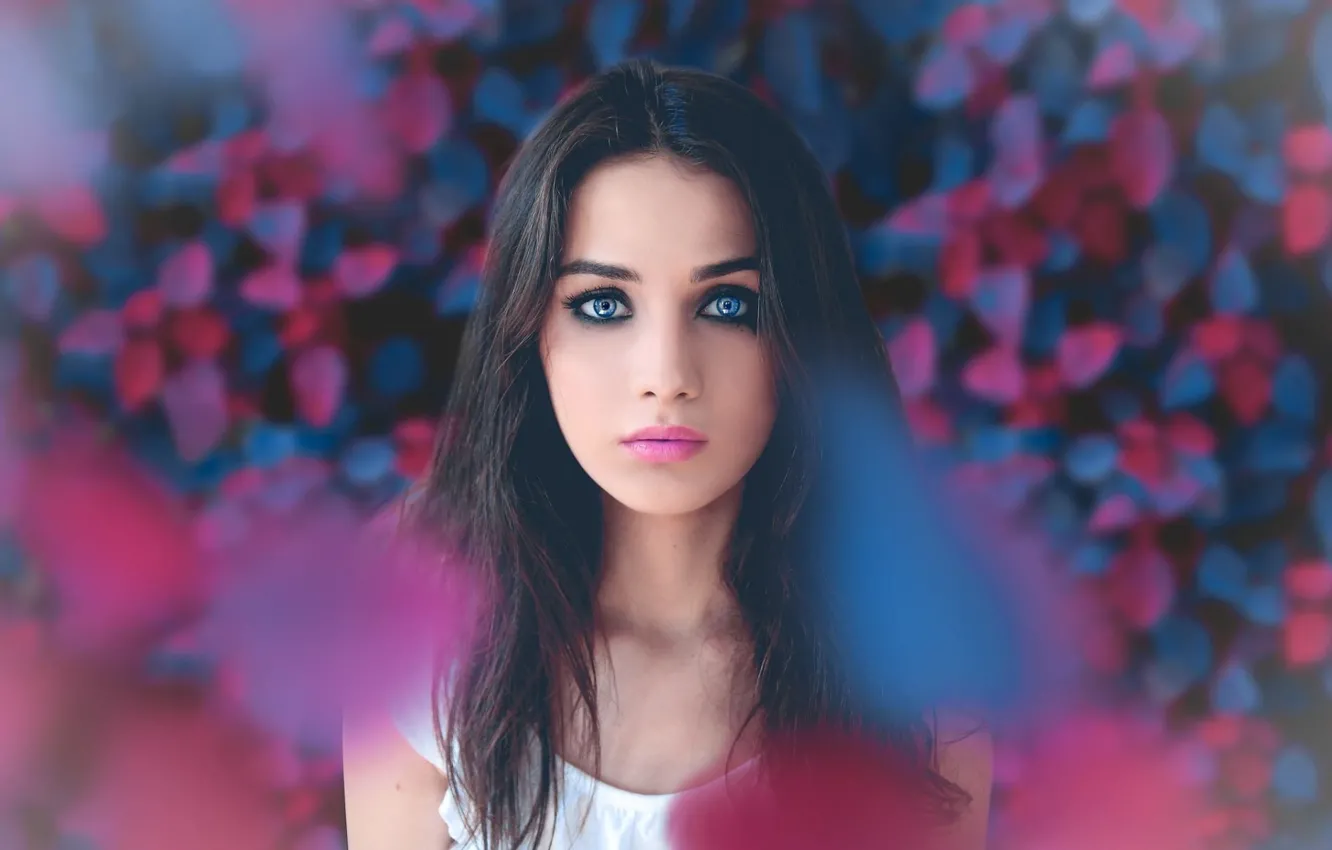 Фото обои girl, model, women, face, Eye