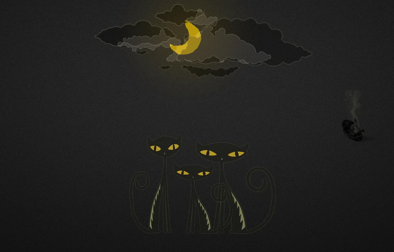 Фото обои облака, ночь, луна, нло, Кошки