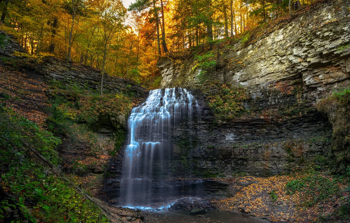 Фото обои осень, лес, скала, водопад, Канада, Онтарио, Canada, каскад