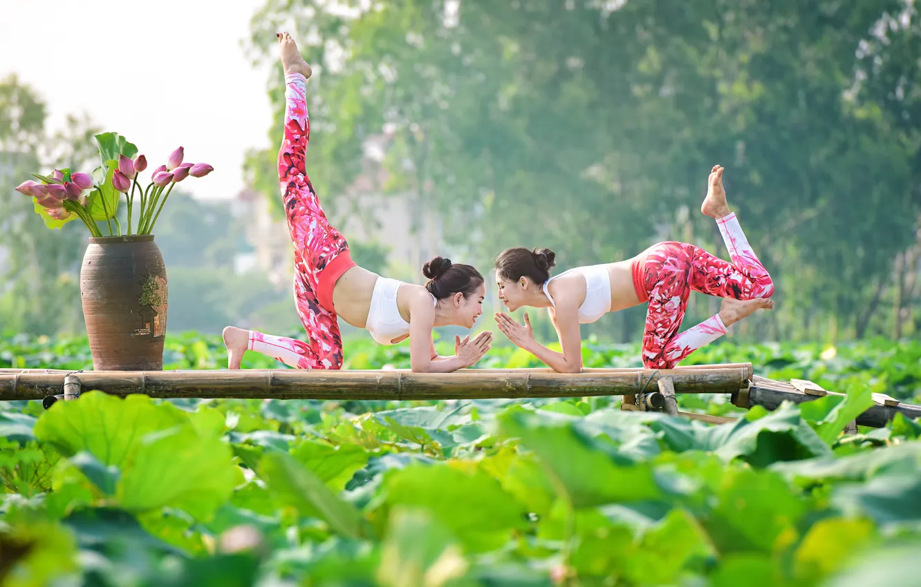 Фото обои лето, природа, девушки, гимнастика, йога, азиатки