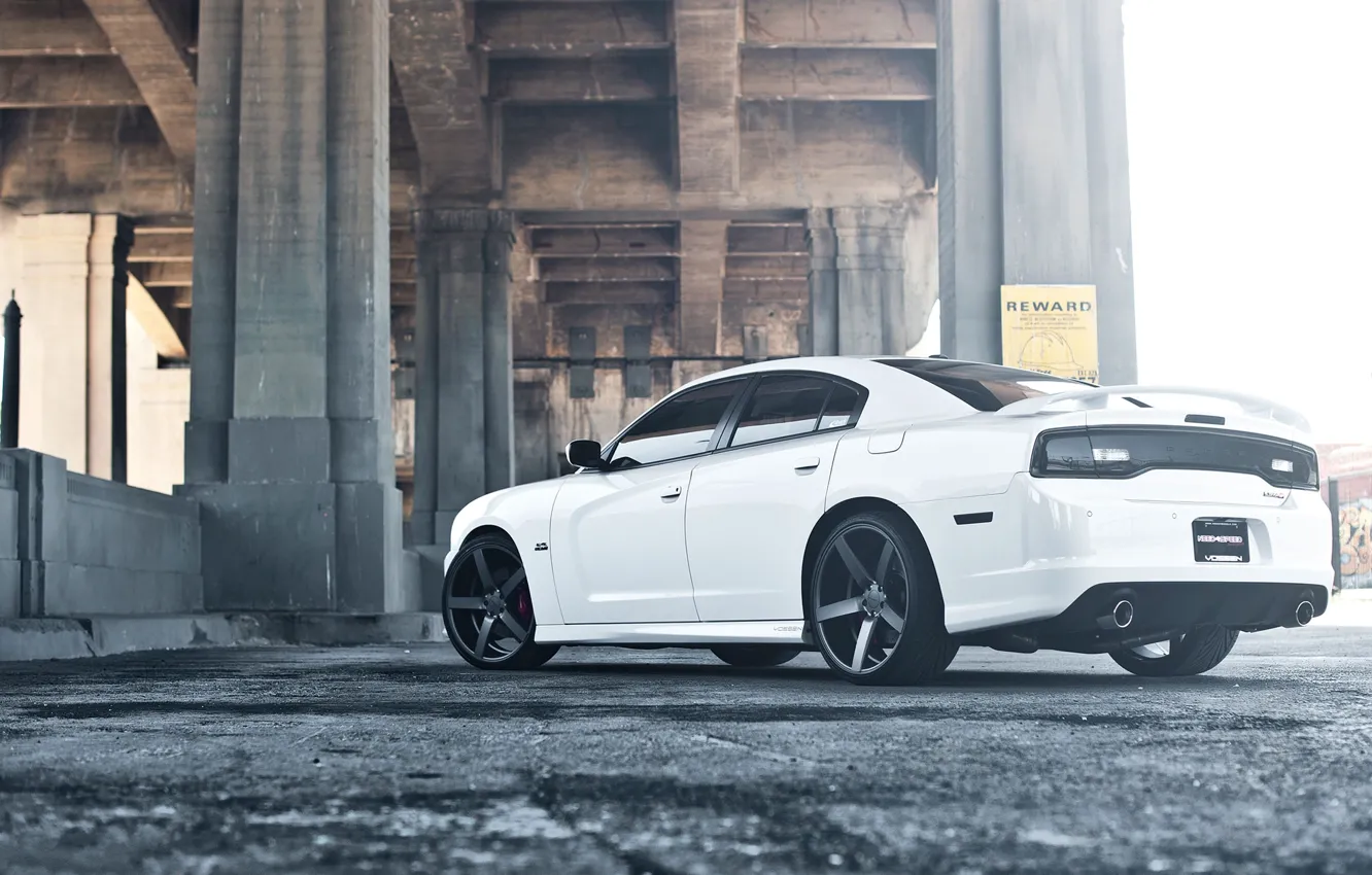 Фото обои белый, мост, white, додж, bridge, dodge, charger, srt8