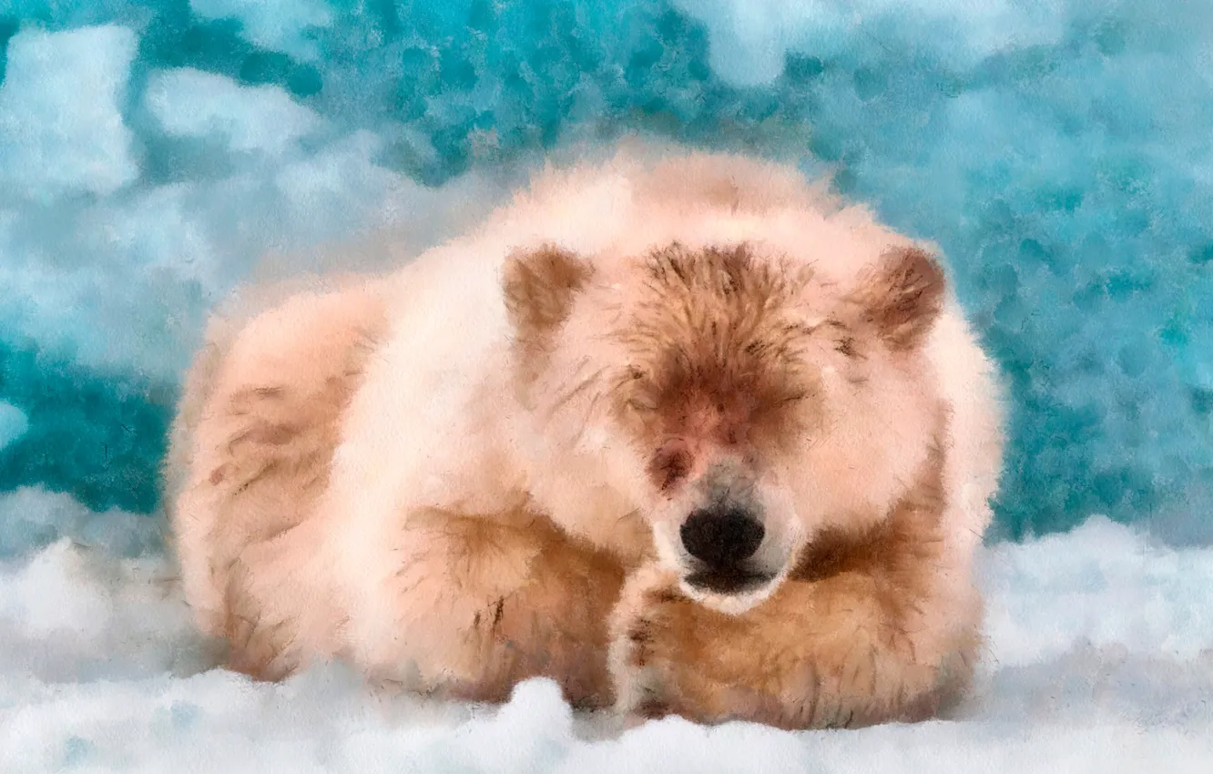 Фото обои лед, зима, снег, рисунок, картина, медведь