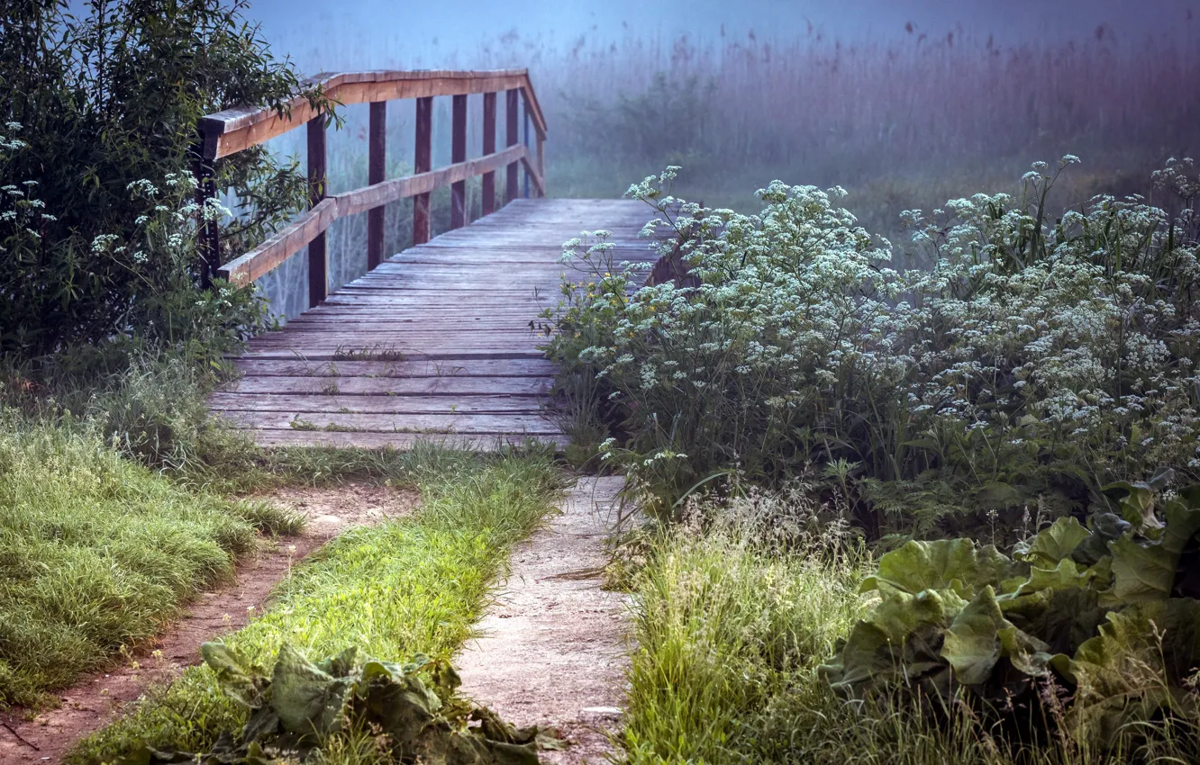 Фото обои лето, мост, природа