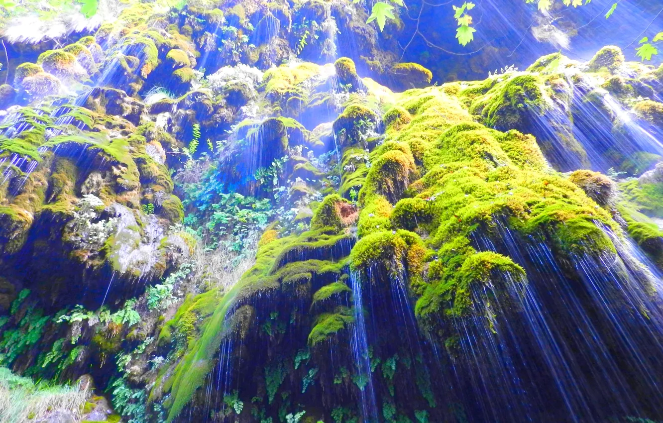 Фото обои rock, Lebanon, Maple leaves, Water falls, Green moss, Saints Valley