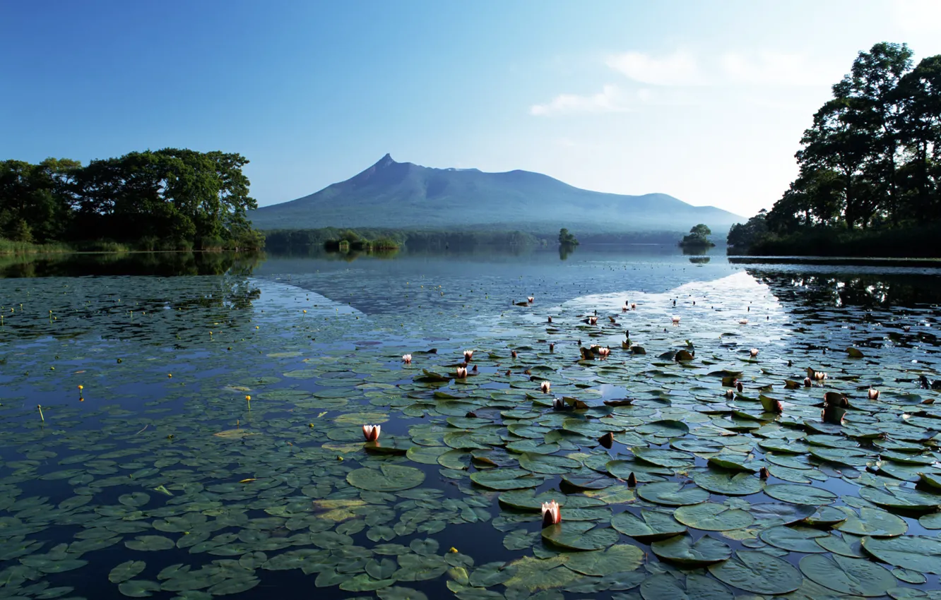 Фото обои горы, озеро, лилии, тишина