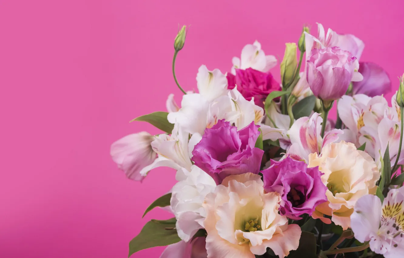 Фото обои цветы, фон, розовый, лилии, pink, flowers, lily