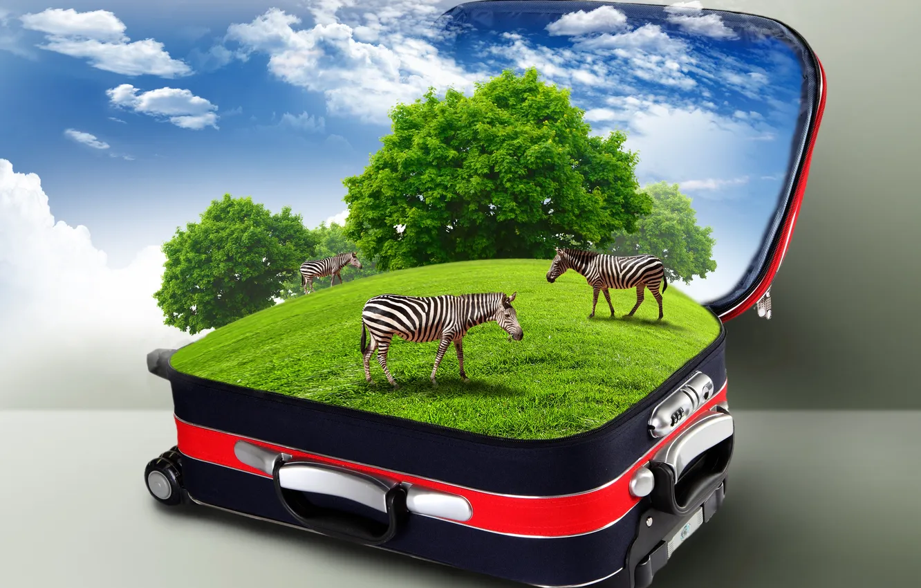 Фото обои трава, облака, креатив, чемодан, кусты, зебры
