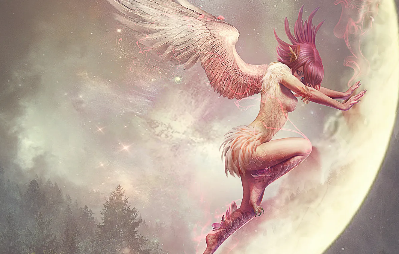 Фото обои звезды, полет, магия, Девушка, крылья, перья, когти, фотоманипуляция