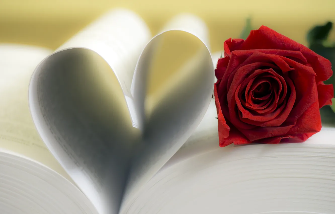 Фото обои сердце, роза, книга, red, love, rose, flower, страницы