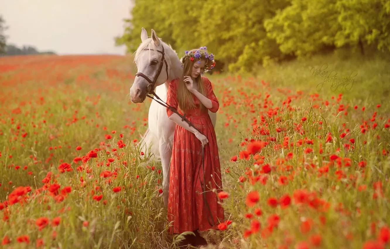 Фото обои поле, девушка, природа, настроение, конь, маки