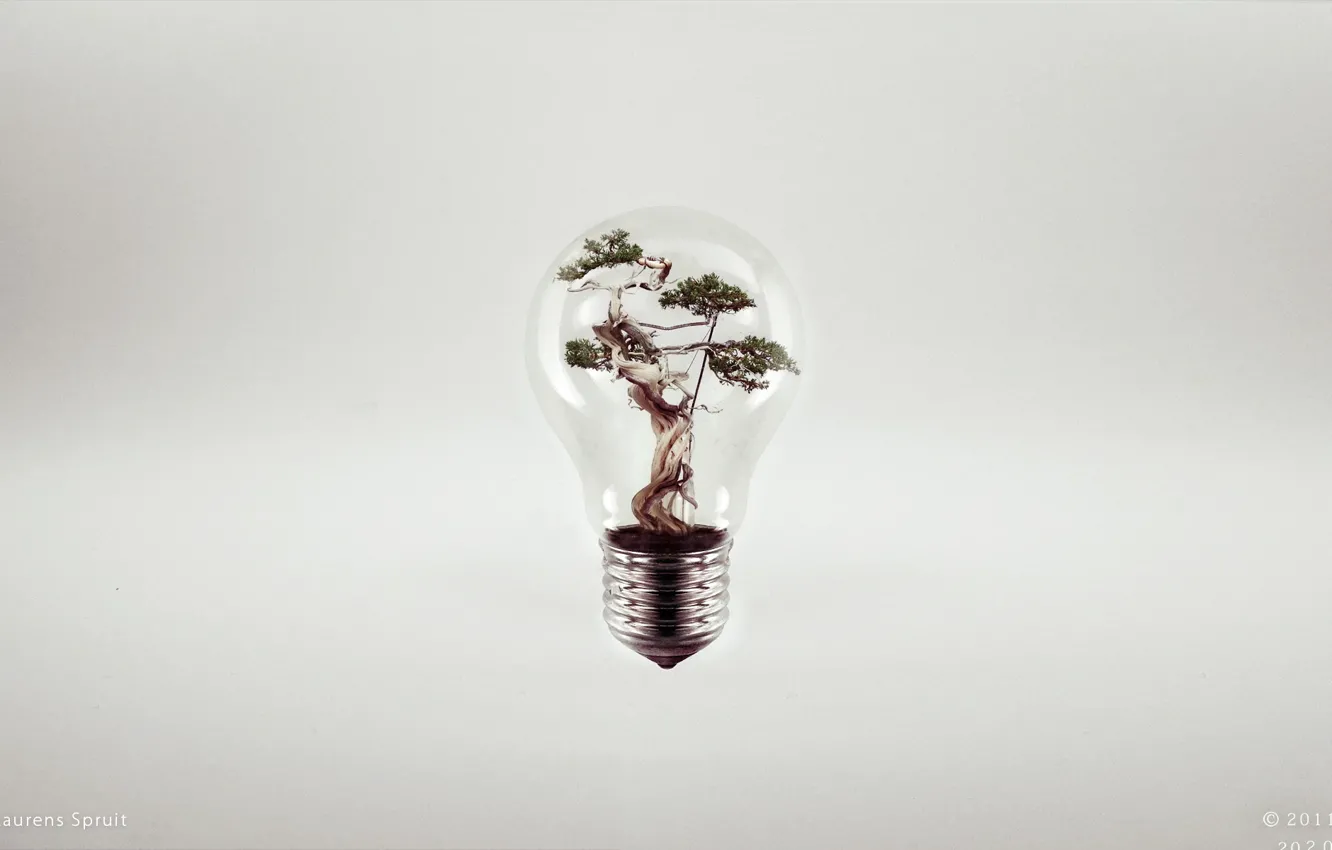 Фото обои креатив, дерево, лампа