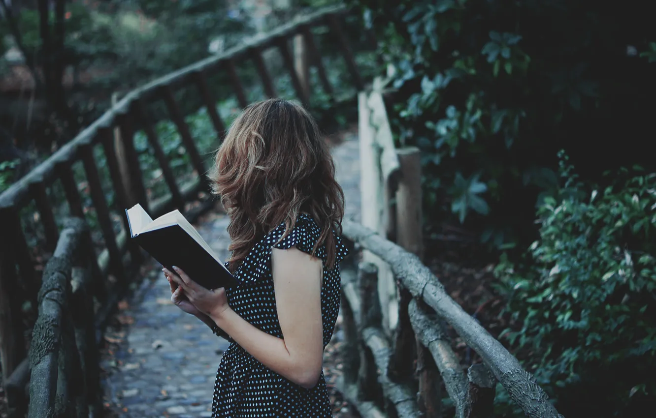 Фото обои девушка, мост, книга, шатенка