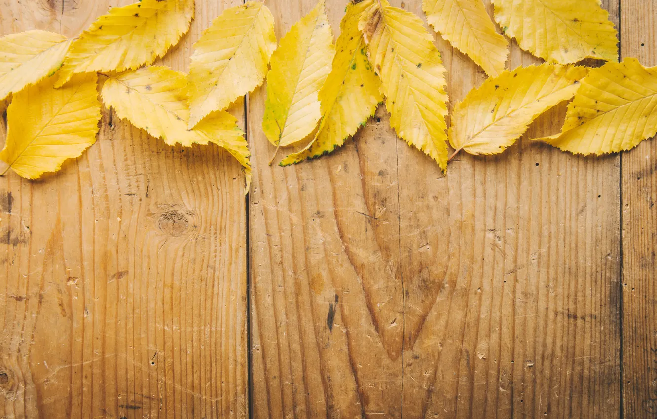Фото обои осень, листья, фон, дерево, доски, yellow, wood, background