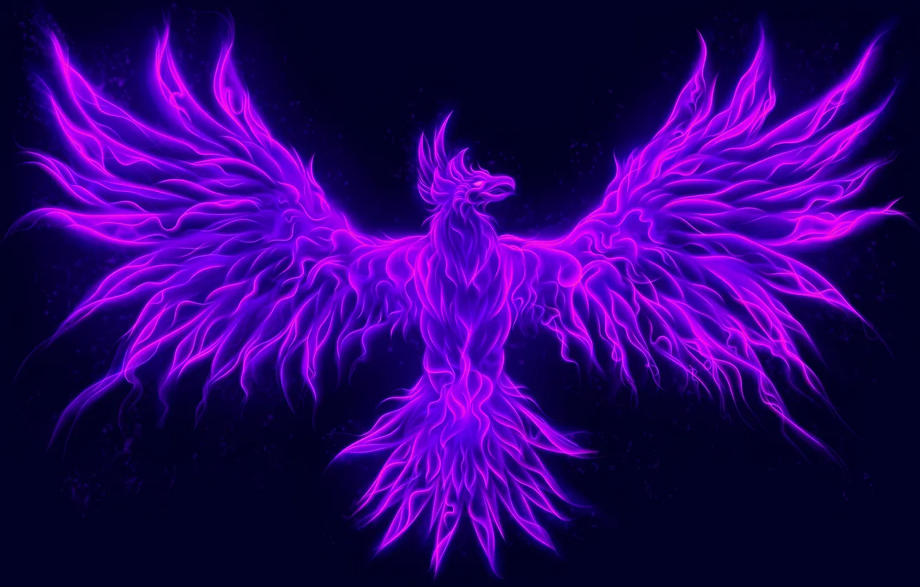Фото обои phoenix, blue, pink, feathers, neon, blue background, fantasy art, illustration