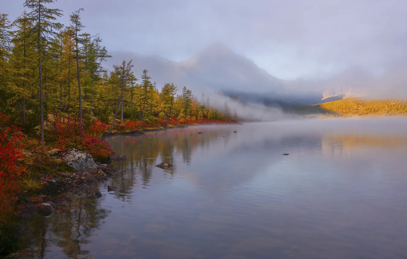 Фото обои осень, лес, пейзаж, горы, природа, туман, берег, Владимир Рябков