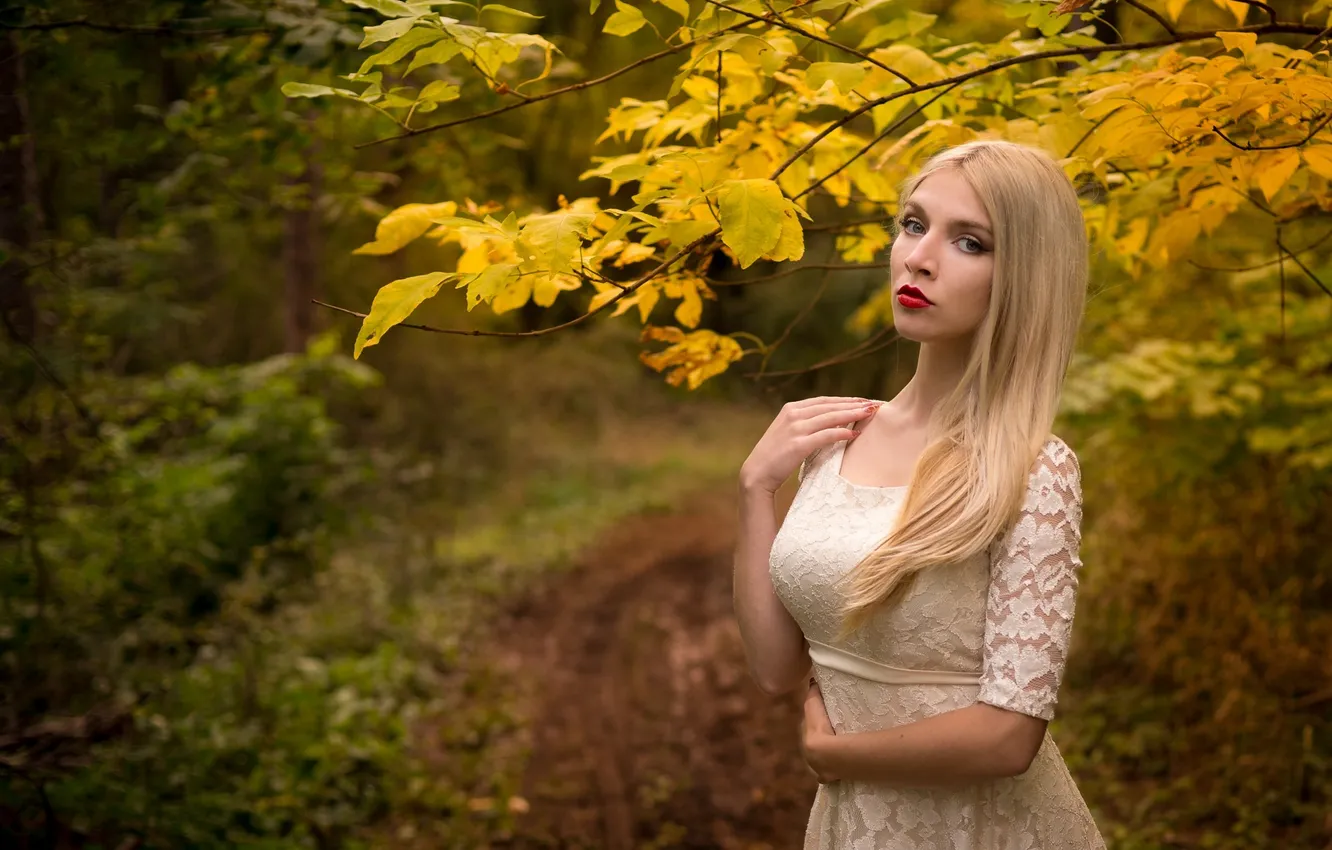 Фото обои Girl, Beautiful, Model, Autumn, Dress, Leaves, Attractive, Boryana