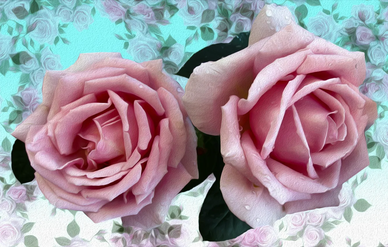 Фото обои Grafika, Kwiaty, Róże