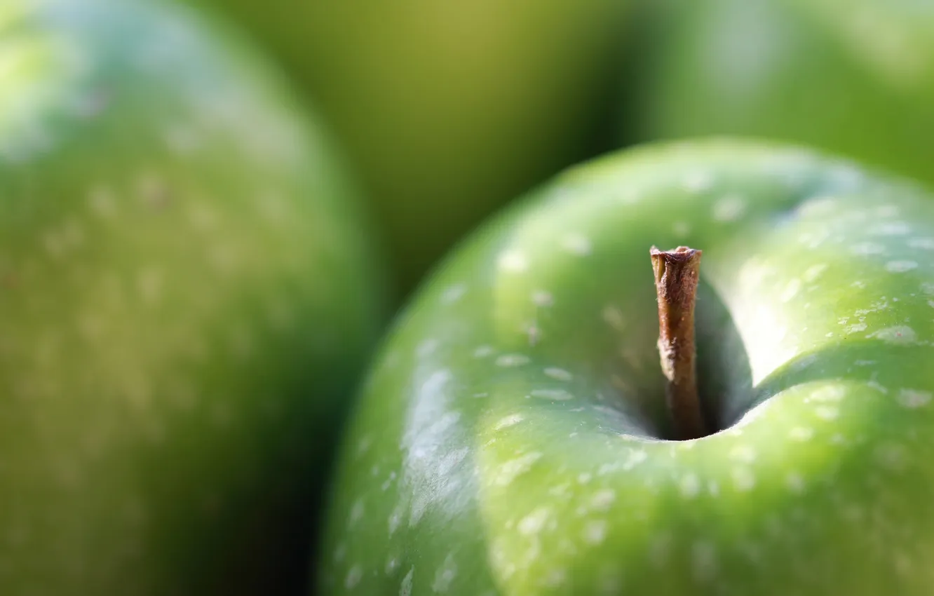 Фото обои макро, яблоко, фрукты