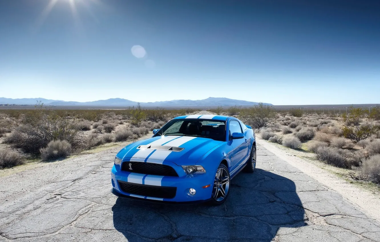 Фото обои дорога, трава, Ford