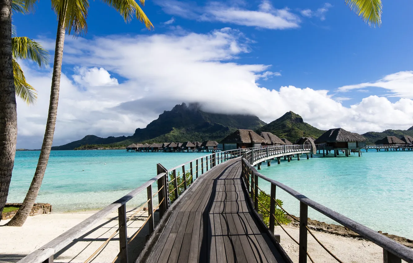 Фото обои тропики, пальмы, океан, Бора-Бора, курорт, лагуна, Bora-Bora, Французская Полинезия