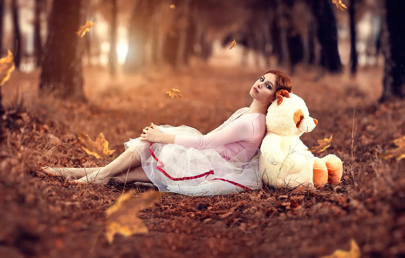Фото обои осень, листья, девушка, мишка, Alessandro Di Cicco, Magical feeling
