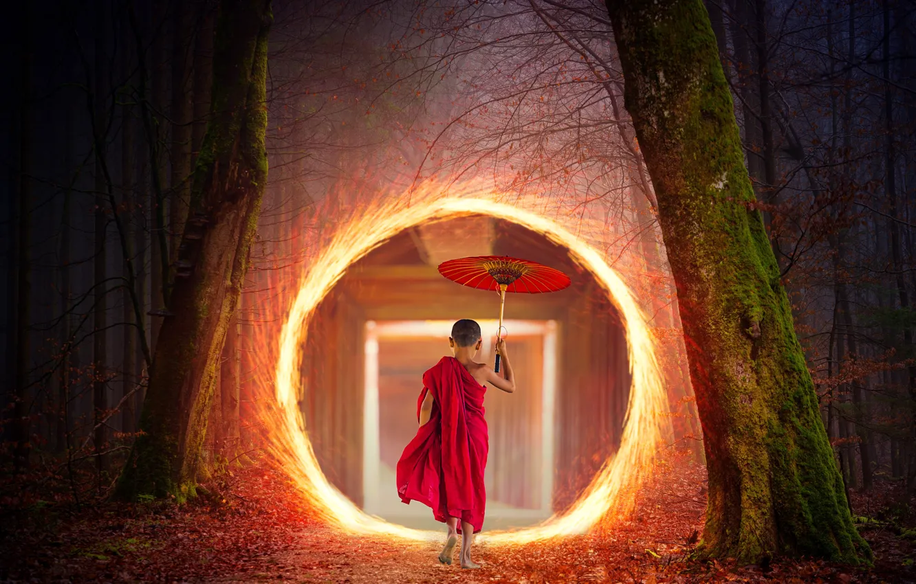 Фото обои свет, зонтик, портал, осенний лес, буддийский монашек
